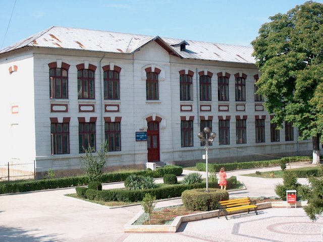 Photograph